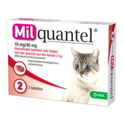 Milquantel Katze -Hochwertiges Geschäft Für Heimtierbedarf milquantel kat 112607 0500 none