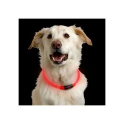 Nite Ize NiteHowl LED Safety Necklace -Hochwertiges Geschäft Für Heimtierbedarf nite ize nitehowl led safety necklace 89526 0500 none