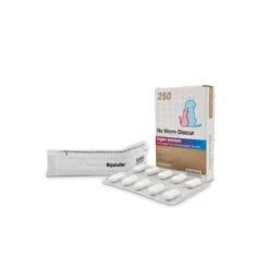 No Worm Diacur 9 No Worm Diacur -Hochwertiges Geschäft Für Heimtierbedarf no worm diacur 151285 0500 none