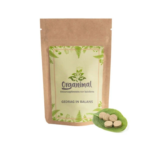 Organimal Verhalten In Balance Für Katzen 1 Organimal Verhalten In Balance Für Katzen