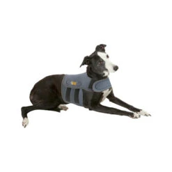 Petlife KarmaWrap Für Hunde -Hochwertiges Geschäft Für Heimtierbedarf petlife karmawrap hond 154186 0500 none