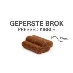 Prins ProCare Protection Senior Fit -Hochwertiges Geschäft Für Heimtierbedarf prins procare protection senior fit 171862 0500 none