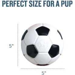 Planet Dog Orbee-Tuff Soccer Ball -Hochwertiges Geschäft Für Heimtierbedarf prod 14590 203612 0500 none
