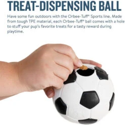 Planet Dog Orbee-Tuff Soccer Ball -Hochwertiges Geschäft Für Heimtierbedarf prod 14590 203618 0500 none