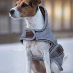 Kentucky Hundemantel Reflective & Waterrepellent -Hochwertiges Geschäft Für Heimtierbedarf prod 15746 219013 0500 none