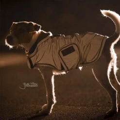 Kentucky Hundemantel Reflective & Waterrepellent -Hochwertiges Geschäft Für Heimtierbedarf prod 15746 219015 0500 none