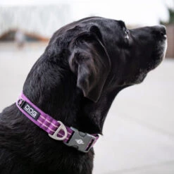 DOG Copenhagen Urban Style Halsband 20 DOG Copenhagen Urban Style Halsband -Hochwertiges Geschäft Für Heimtierbedarf prod 15937 220286 0500 none