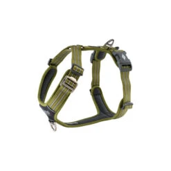 DOG Copenhagen Comfort Walk Air Geschirr -Hochwertiges Geschäft Für Heimtierbedarf prod 15939 220306 0500 none