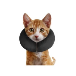 ZenPet Pro Collar -Hochwertiges Geschäft Für Heimtierbedarf prod 5331 89004 0500 none