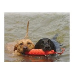 KONG Training Dummy -Hochwertiges Geschäft Für Heimtierbedarf product kong training dummy none 4 1469627104 71971