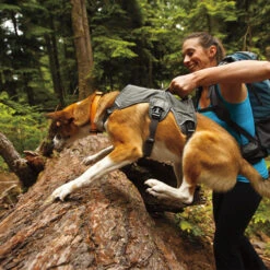 Ruffwear Webmaster Harness -Hochwertiges Geschäft Für Heimtierbedarf product ruffwear webmaster harness none 4 1471947180 76768