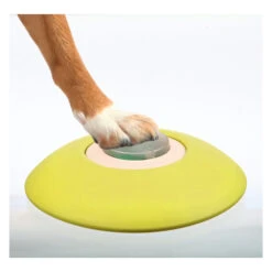 Trixie Dog Activity Memory Trainer -Hochwertiges Geschäft Für Heimtierbedarf product trixie memory trainer strategy game none 4 1478600542 79912