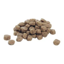 Purina Pro Plan Dog Adult - Large Breed -Hochwertiges Geschäft Für Heimtierbedarf purina pro plan dog adult large breed 113498 0500 none