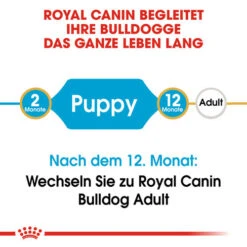 Royal Canin Bulldog Puppy - Hundefutter -Hochwertiges Geschäft Für Heimtierbedarf royal canin bulldog puppy hondenvoer 137785 0500 none