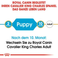 Royal Canin Cavalier King Charles Puppy - Hundefutter -Hochwertiges Geschäft Für Heimtierbedarf royal canin cavalier king charles puppy hondenvoer 137905 0500 none