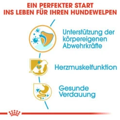 Royal Canin Cavalier King Charles Puppy - Hundefutter -Hochwertiges Geschäft Für Heimtierbedarf royal canin cavalier king charles puppy hondenvoer 137923 0500 none