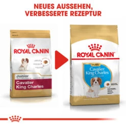 Royal Canin Cavalier King Charles Puppy - Hundefutter -Hochwertiges Geschäft Für Heimtierbedarf royal canin cavalier king charles puppy hondenvoer 137950 0500 none