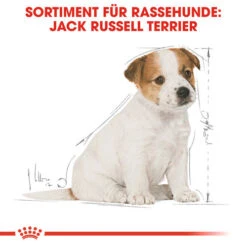 Royal Canin Jack Russell Terrier Puppy - Hundefutter -Hochwertiges Geschäft Für Heimtierbedarf royal canin jack russell terrier puppy hondenvoer 139318 0500 none