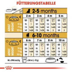 Royal Canin Jack Russell Terrier Puppy - Hundefutter -Hochwertiges Geschäft Für Heimtierbedarf royal canin jack russell terrier puppy hondenvoer 139327 0500 none