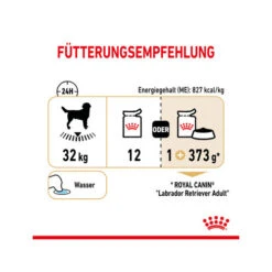 Royal Canin Labrador Retriever Adult Wet -Hochwertiges Geschäft Für Heimtierbedarf royal canin labrador retriever adult wet 165796 0500 none