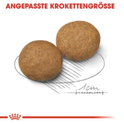 Royal Canin Medium Adult - Hundefutter -Hochwertiges Geschäft Für Heimtierbedarf royal canin medium adult hondenvoer 128546 0500 none