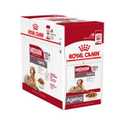 Royal Canin Medium Ageing 10+ Wet - Hundefutter -Hochwertiges Geschäft Für Heimtierbedarf royal canin medium ageing 10 wet 121933 0500 none