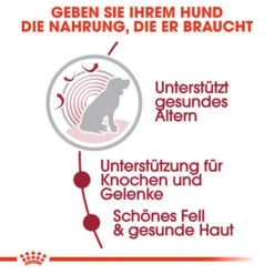 Royal Canin Medium Ageing 10+ Wet - Hundefutter -Hochwertiges Geschäft Für Heimtierbedarf royal canin medium ageing 10 wet hondenvoer 129197 0500 none