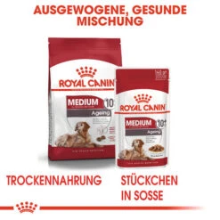 Royal Canin Medium Ageing 10+ Wet - Hundefutter -Hochwertiges Geschäft Für Heimtierbedarf royal canin medium ageing 10 wet hondenvoer 129212 0500 none