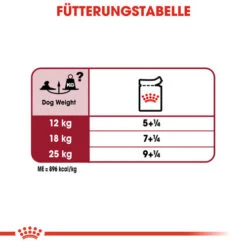 Royal Canin Medium Ageing 10+ Wet - Hundefutter -Hochwertiges Geschäft Für Heimtierbedarf royal canin medium ageing 10 wet hondenvoer 129221 0500 none
