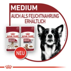Royal Canin Medium Ageing 10+ Wet - Hundefutter -Hochwertiges Geschäft Für Heimtierbedarf royal canin medium ageing 10 wet hondenvoer 129239 0500 none