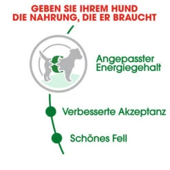 Royal Canin Mini Adult - Hundefutter -Hochwertiges Geschäft Für Heimtierbedarf royal canin mini adult hondenvoer 128648 0500 none