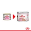 Royal Canin Mother & Babycat Ultra Soft Mousse - Katzenfutter