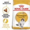 Royal Canin Norwegian Forest Cat Adult - Katzenfutter