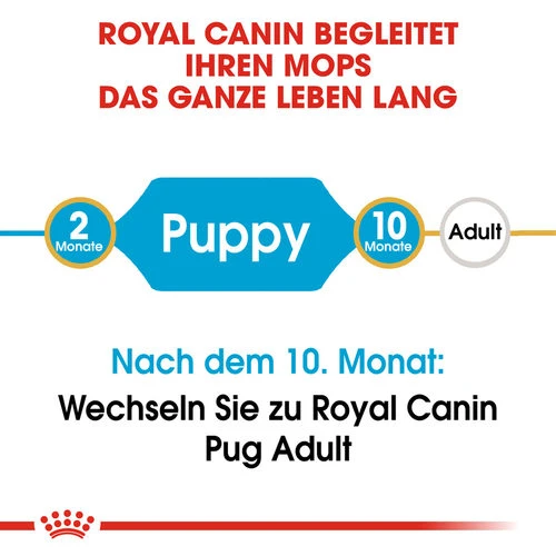 Royal Canin Pug Puppy - Hundefutter 5 Royal Canin Pug Puppy - Hundefutter – Bild 5