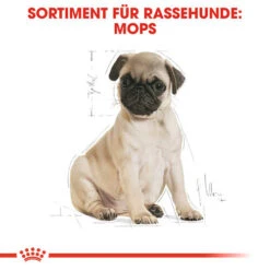 Royal Canin Pug Puppy - Hundefutter 11 Royal Canin Pug Puppy - Hundefutter -Hochwertiges Geschäft Für Heimtierbedarf royal canin pug puppy hondenvoer 139885 0500 none