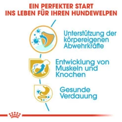 Royal Canin Rottweiler Puppy - Hundefutter -Hochwertiges Geschäft Für Heimtierbedarf royal canin rottweiler puppy hondenvoer 140020 0500 none