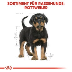 Royal Canin Rottweiler Puppy - Hundefutter -Hochwertiges Geschäft Für Heimtierbedarf royal canin rottweiler puppy hondenvoer 140029 0500 none