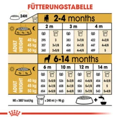 Royal Canin Rottweiler Puppy - Hundefutter -Hochwertiges Geschäft Für Heimtierbedarf royal canin rottweiler puppy hondenvoer 140038 0500 none