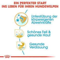 Royal Canin Shih Tzu Puppy - Hundefutter -Hochwertiges Geschäft Für Heimtierbedarf royal canin shih tzu junior hondenvoer 140402 0500 none