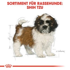 Royal Canin Shih Tzu Puppy - Hundefutter -Hochwertiges Geschäft Für Heimtierbedarf royal canin shih tzu junior hondenvoer 140411 0500 none