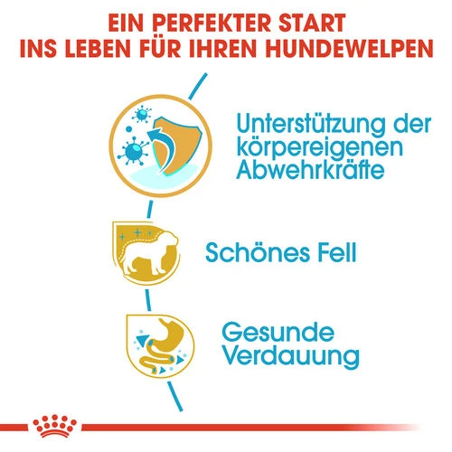 Royal Canin Yorkshire Terrier Puppy - Hundefutter 2 Royal Canin Yorkshire Terrier Puppy - Hundefutter – Bild 2