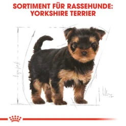 Royal Canin Yorkshire Terrier Puppy - Hundefutter 11 Royal Canin Yorkshire Terrier Puppy - Hundefutter -Hochwertiges Geschäft Für Heimtierbedarf royal canin yorkshire terrier puppy hondenvoer 140804 0500 none
