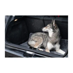 Royal Dry Doormat -Hochwertiges Geschäft Für Heimtierbedarf royal dry doormat 187417 0500 none