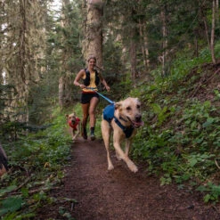 Ruffwear Roamer Leash - Blue Atoll -Hochwertiges Geschäft Für Heimtierbedarf ruffwear roamer leash blue atoll 204797 0500 none