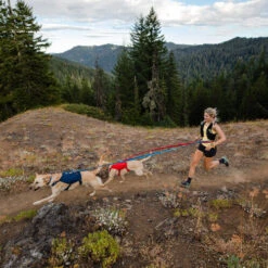 Ruffwear Roamer Leash - Blue Atoll -Hochwertiges Geschäft Für Heimtierbedarf ruffwear roamer leash blue atoll 204800 0500 none