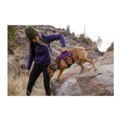Ruffwear Webmaster Harness -Hochwertiges Geschäft Für Heimtierbedarf ruffwear webmaster harness 217109 0500 none