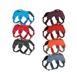 Ruffwear Webmaster Harness