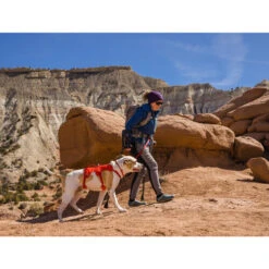 Ruffwear Webmaster Harness -Hochwertiges Geschäft Für Heimtierbedarf ruffwear webmaster harness 217118 0500 none