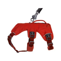 Ruffwear Webmaster Harness -Hochwertiges Geschäft Für Heimtierbedarf ruffwear webmaster harness 217119 0500 none