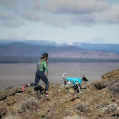 Ruffwear Wind Sprinter Jacket -Hochwertiges Geschäft Für Heimtierbedarf ruffwear wind sprinter jacket 124694 0500 none